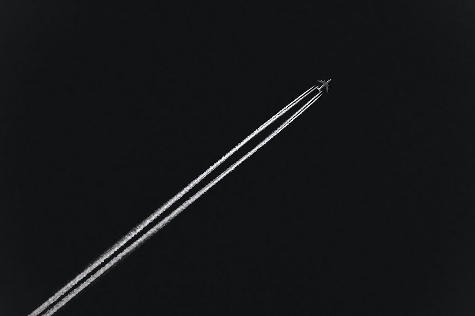 Image by Joel & Jasmin Førestbird