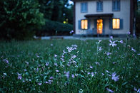 Image by Valentina Locatelli