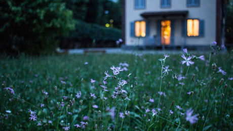 Image by Valentina Locatelli