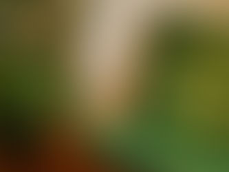 Calm office interior with natural light and neutral furnishings