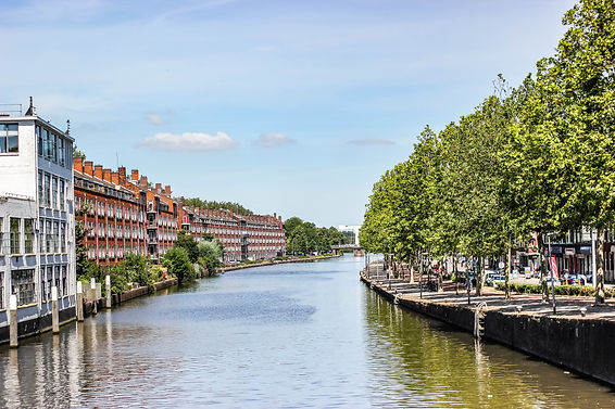 Image by micheile dot com