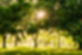 Image by Gayatri Malhotra