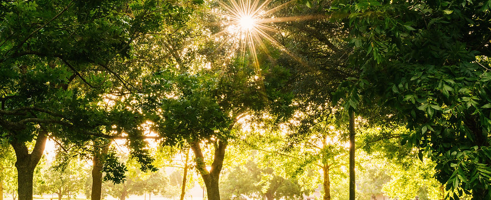 Image by Gayatri Malhotra