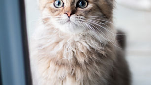 お互いの理解を深めるためにも