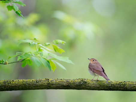 What are you afraid of?