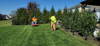 Landscaping Contractor