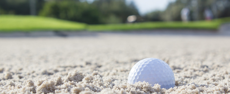 Image by Steven Shircliff