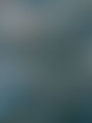 Jodhpur: Hoe blauw is de Blauwe Stad echt?