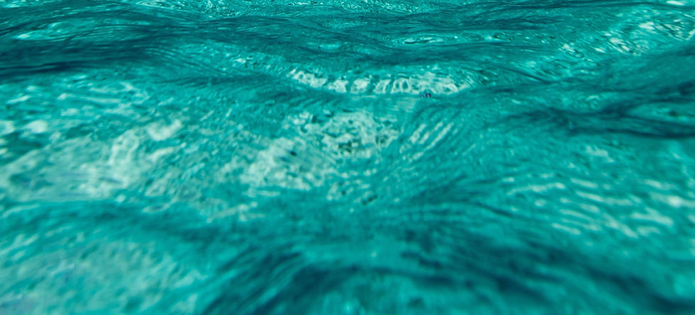 Image by Shifaaz shamoon