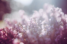 Image by Radek Vebr