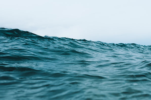 Image by Thierry Meier