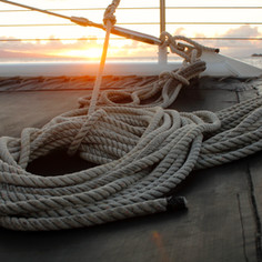 Image de Megan Menegay