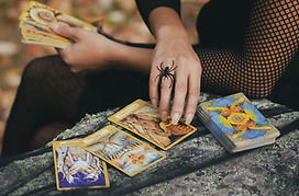 Image by Kayla Maurais