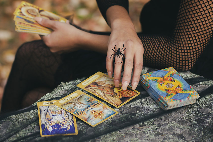 Image by Kayla Maurais