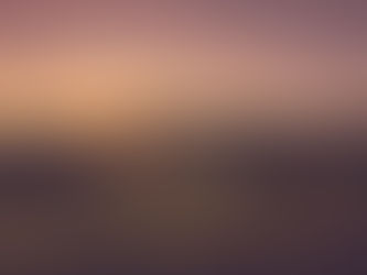 A Tale of Craftsmanship: 1000 Stories Zinfandel Batch 87