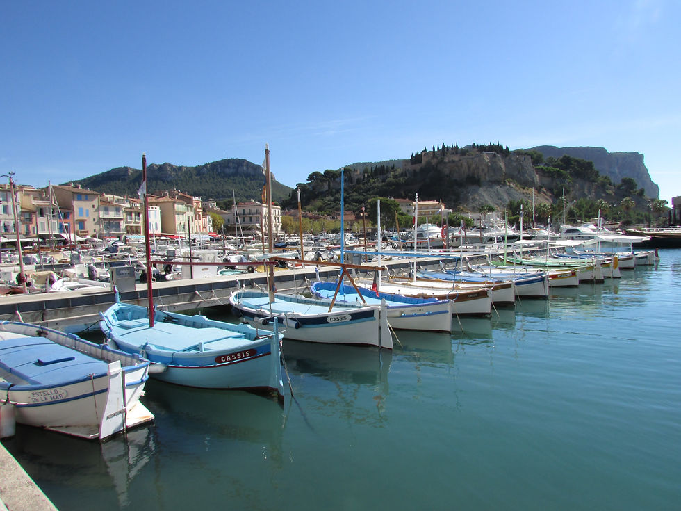 A row of small sailboats tied and anchored at a marina under a clear blue sky