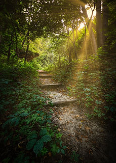Image by Dave Hoefler