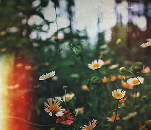 Image by Abhishek Koli