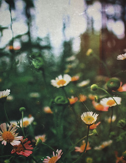 Image by Abhishek Koli