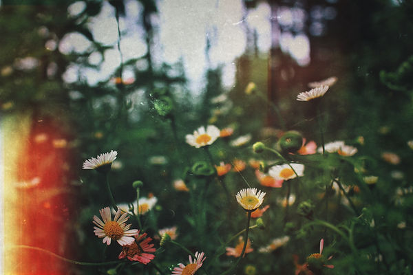 Image by Abhishek Koli
