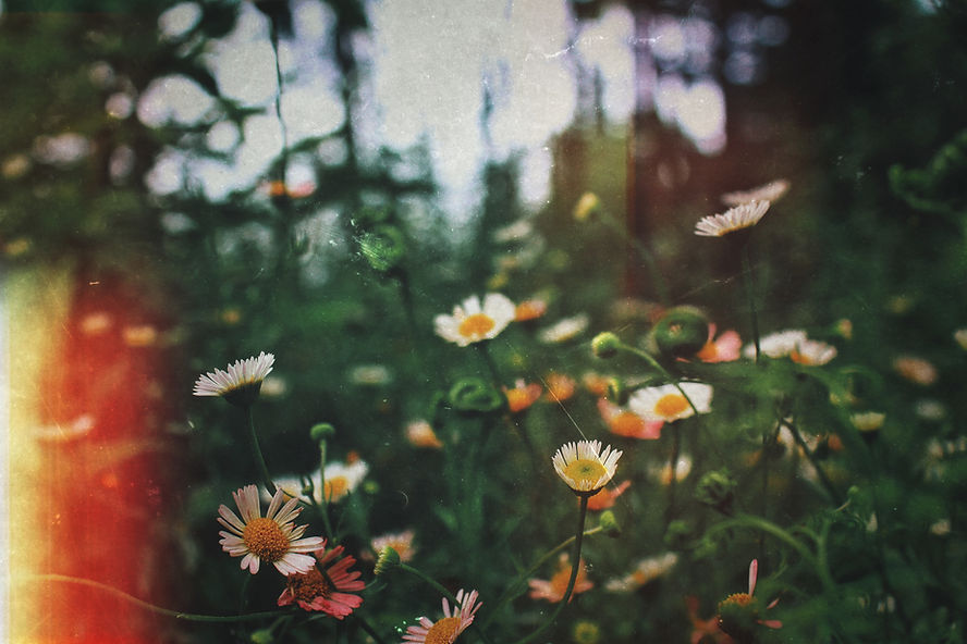 Image by Abhishek Koli