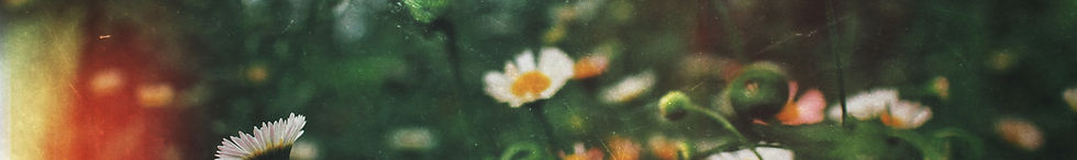 Image de Abhishek Koli