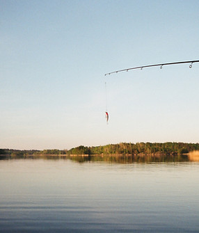 Image by Andrey Trusov