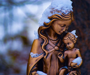 Image by Anuja Mary