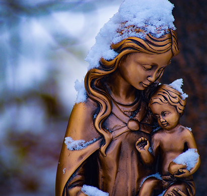 Image by Anuja Mary Tilj