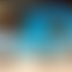 Spiaggia bianca caraibica con palme e acqua del mare cristallina. Paesaggio da cartolina.