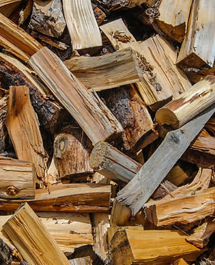 Image by Alexander Schimmeck