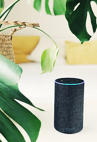 Image by Jan Antonin Kolar