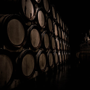 Image by Daniel Vogel
