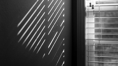 Image by Schuyler Dugle