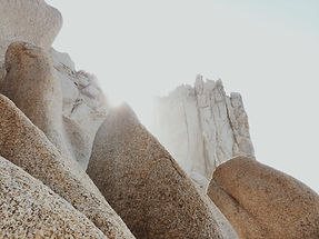 Image by Amy Humphries