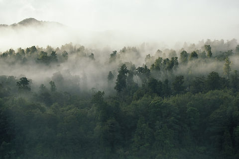 Image by Tobias Tullius