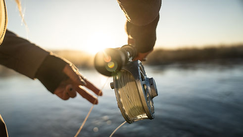 Image by Samantha Deleo