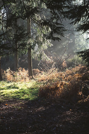 Image by Gemma Evans