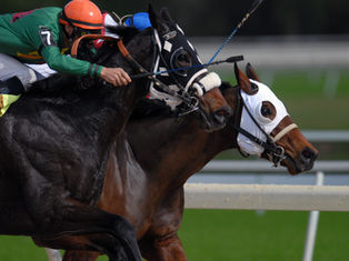 Horse Racing Bet of the Day for 22nd of February