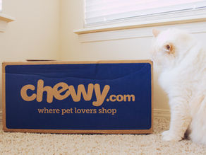 With COVID-19 back on the rise, Chewy is a buy.