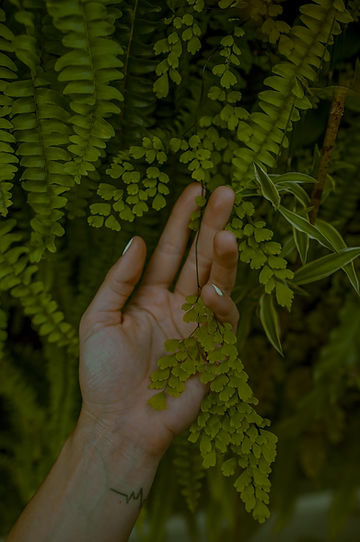 Image by Toa Heftiba