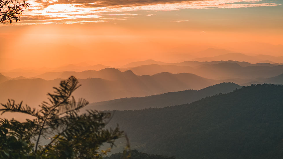Image by Colton Duke