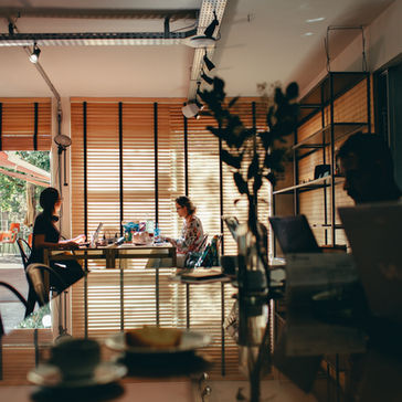 The Evolution of Work Culture: Embracing Flexibility and Innovation in the Modern Workplace