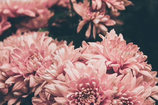 Image by Siora Photography