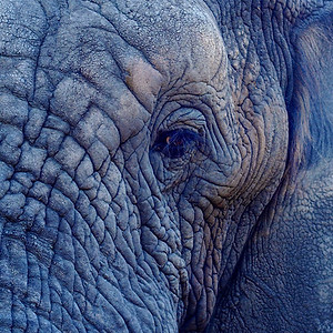 Image by Jennifer Latuperisa-Andresen