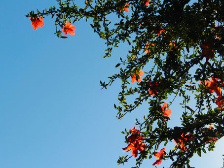 December 31, 2024 -Come!