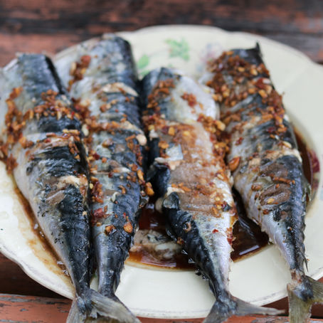 La sardine : le petit poisson bleu de l’été