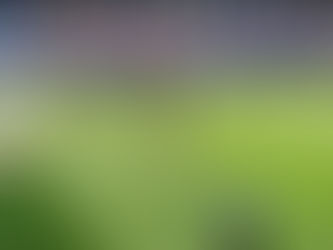 サッカーに関することを不定期で投稿。