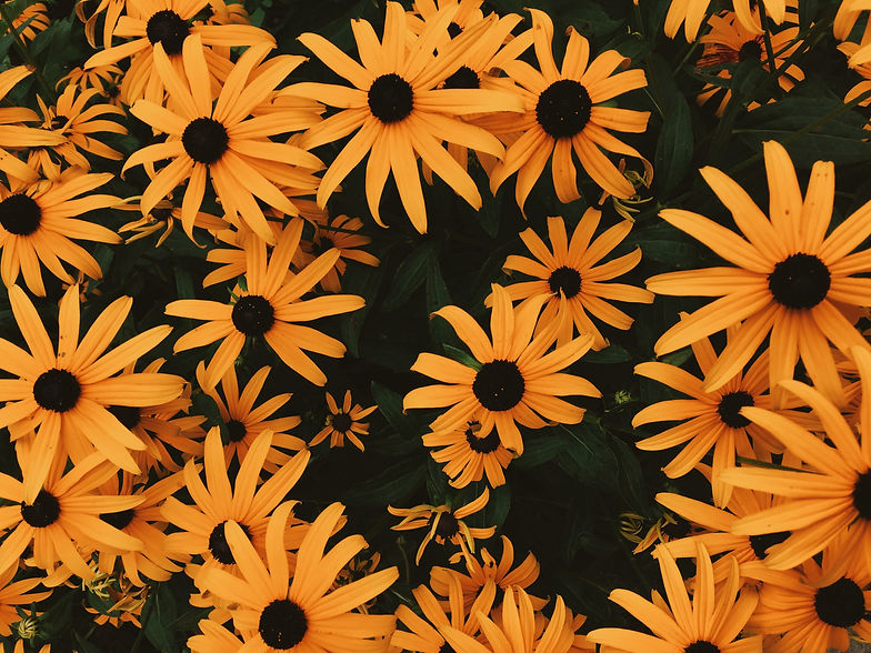 Image by Kasia Wanner