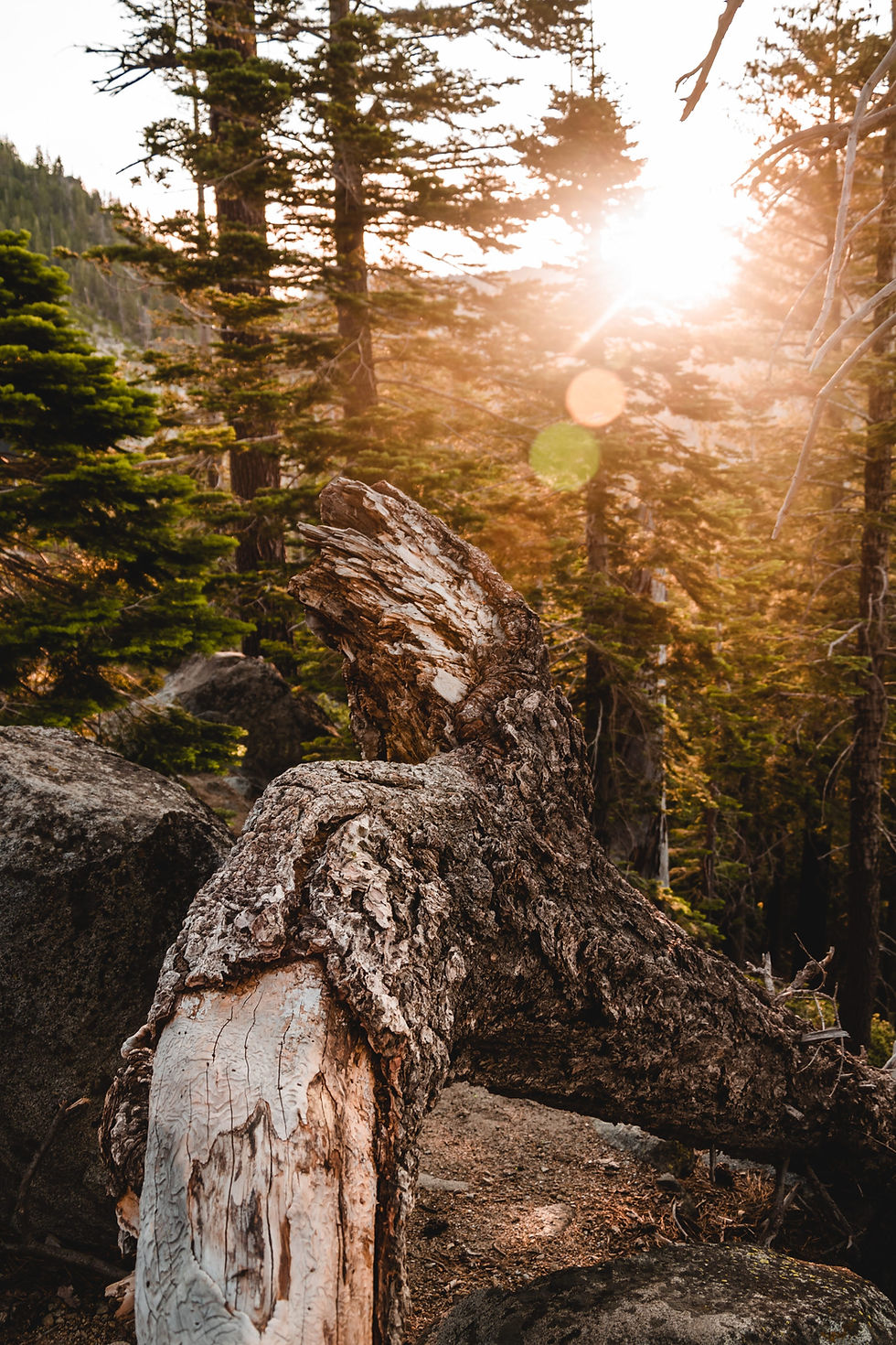Image by Alec Krum